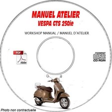 GTS 250ie - Manuel Atelier