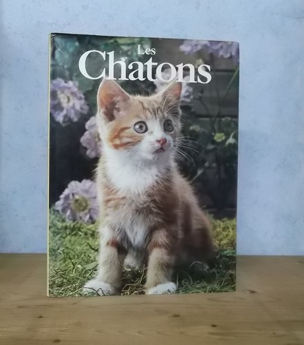 Chats persans siamois les - persans,