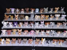 LPS différents chiens, les