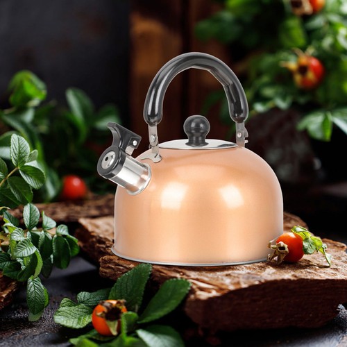 Bouilloire inox bouilloires - inox,