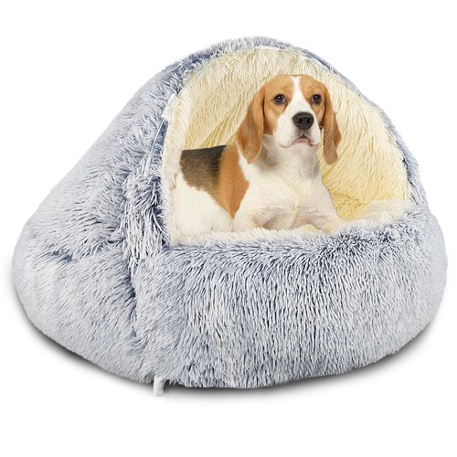 Gris lit pour - lit, chien