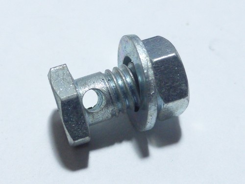 Nos vintage algi - nos, –