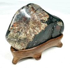 Japanese Suiseki Viewing Stone Chrysanthemum Bonseki Bonsai Zen with Daiza 3.7in