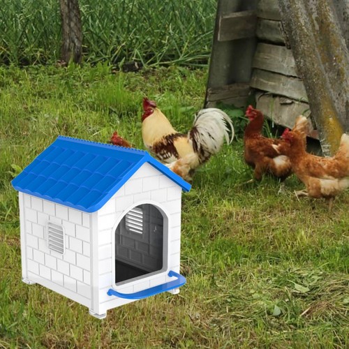 Nichoirs poules robustes et - poules,