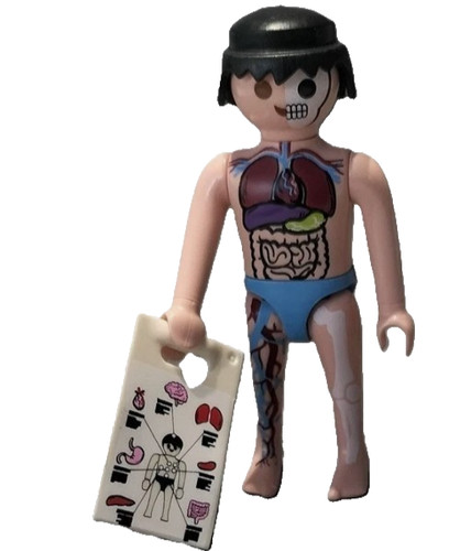 Playmobil figurine anatomie - playmobil,