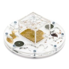 Fourmiliere Ant Farm Circle Medium (Fourmis et reine gratuites)
