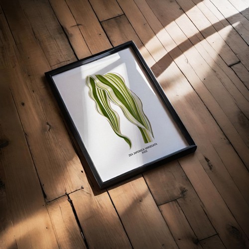 Affiche botanique striped - affiche, botanique-