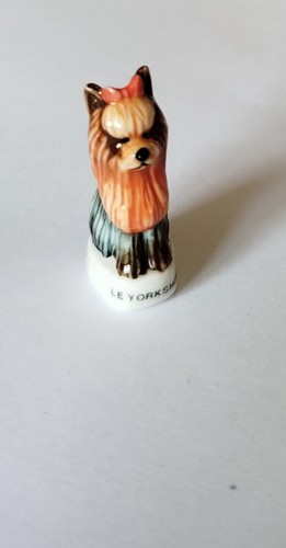 Fève chien le yorkshire - :,