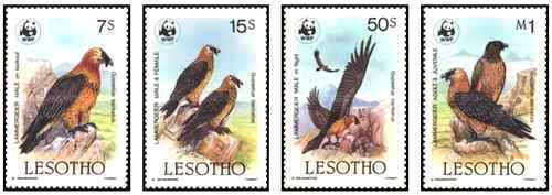 Timbres oiseaux rapaces - timbres,