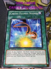 Yu Gi Oh BLACK FEATHER CARDS DP11-FR020 1st Edition