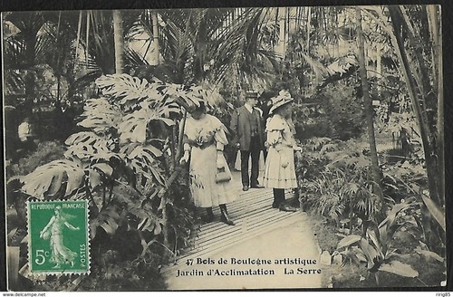 Old postcard bois - bois, de