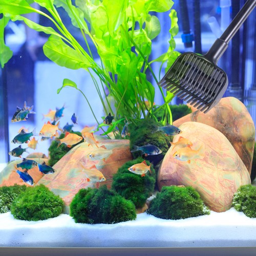 Nettoyeur eau pour aquarium - nettoyeur, d'eau