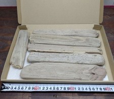 Bois flotté du Japon