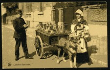 VERY NICE DOG HARNESS (U794)