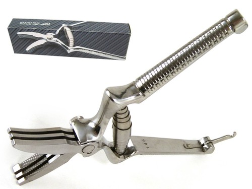 Masticateur acier inox - masticateur, en