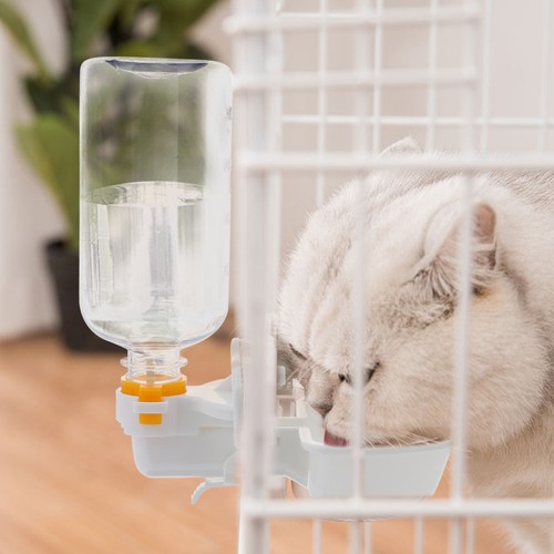 Bol eau portable pour chien - portable,