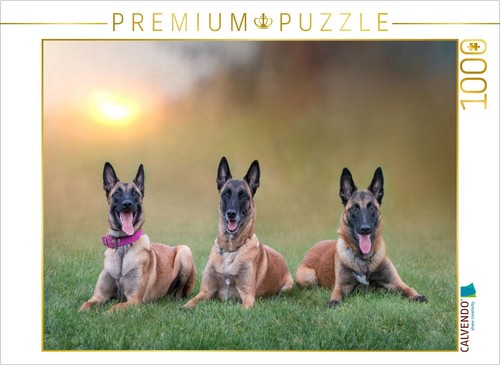 Calvendo puzzle ein - puzzle, motiv