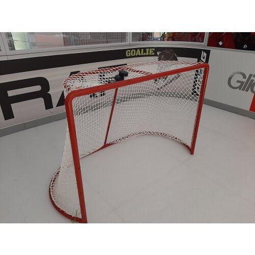 Hockey sur glace goal micro - hockey,