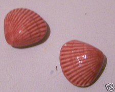 @  LOT 3  BOUTONS FORME COQUILLE SAINT JACQUES