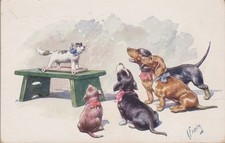 Vintage K.Feiertag Dackel Dachshund Teckel. Cat. Old Dog 978-4 PC. 1916