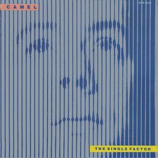 ▉ Camel The Single Factor