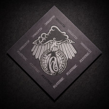 ALEMBIC BASSES AND GUITARS