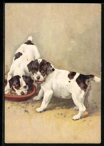 Carte postale smooth - carte,