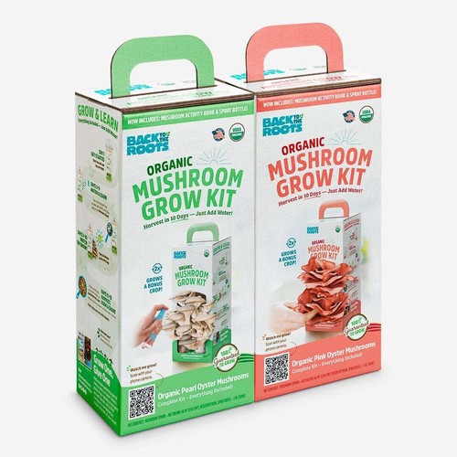 Organic mushroom grow kit - organic,