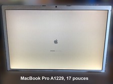 Écran complet MacBook Pro