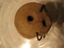 LAMPE A HUILE PRE ROMAINE II