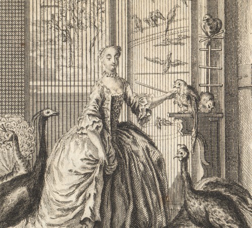 1764 gravure femme oiseaux - et,