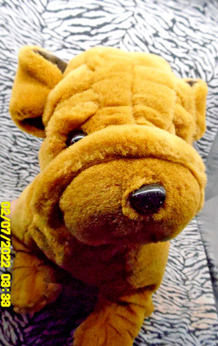 Nicotoy peluche chien - cf/,