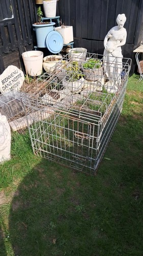 Cage pour chien pliable - pour,