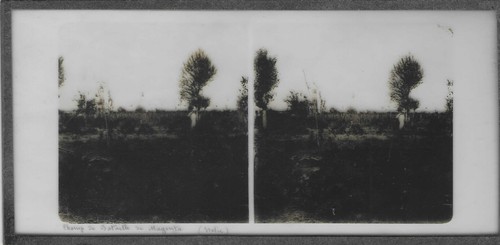 Photos sur plaque verre - sur,