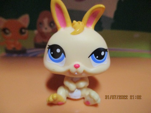 Petshop lapin nain 1344 - petshop,