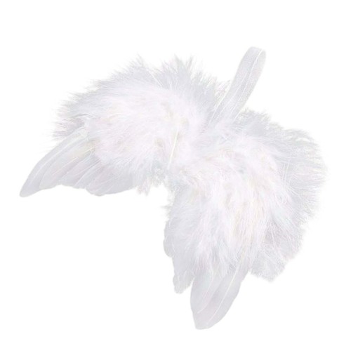 Ailes ange plumes - en,