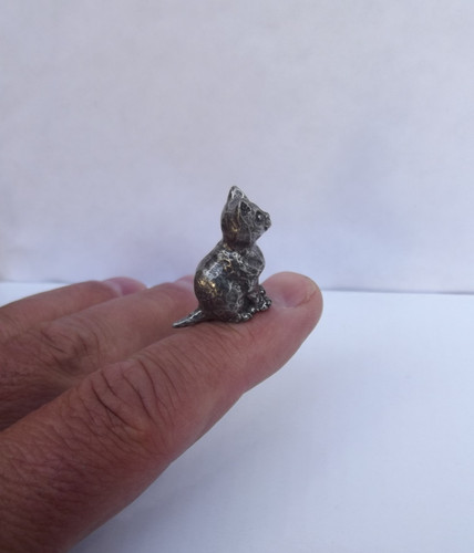 Chat miniature michel laude - michel,