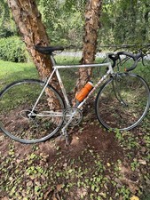  Vintage Peugeot PX10S Super Competition Road Bike In Incredible Condition