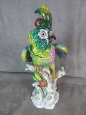 SUPERBE PERROQUET en