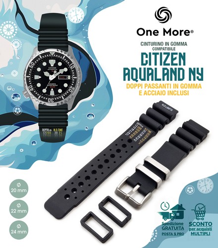 Sangle citizen promaster - sangle, ny