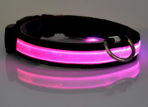 Led chien chat animal - chat,