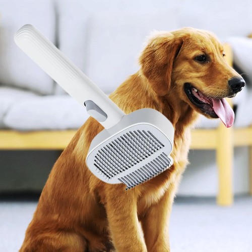 Brosse pour chien - et, chat