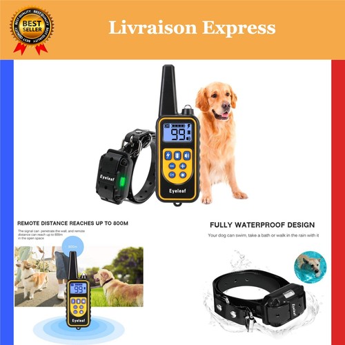 Collier dressage pour chien - pour,