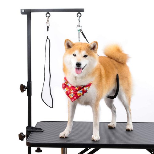 Plié pet toilettage bras - plié,