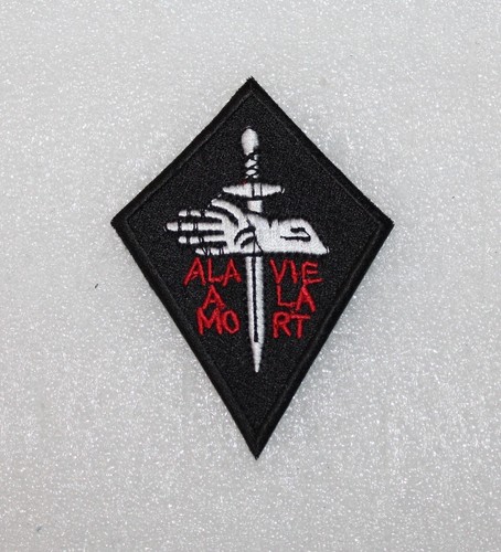 Insigne commando sasb - insigne,