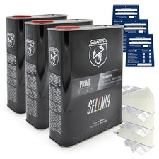 6 Litre Selenia Abarth 10W-50