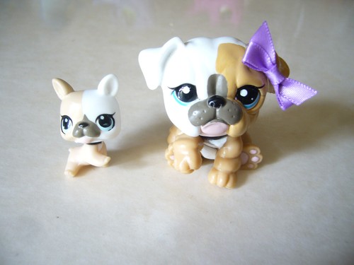 Littlest pet shop authentic - littlest,