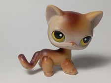 AUTHENTIQUE LPS LITTLEST Petshop  HASBRO - Chat européen - European Cat - #19