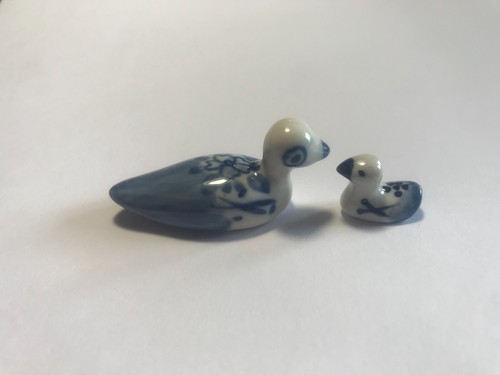 Feve canard son caneton - canard,