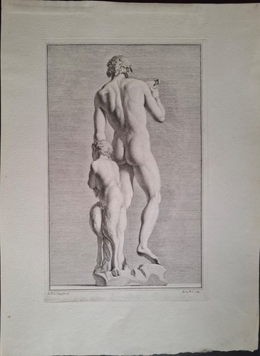 Bacchus dos par pitteri - de, g